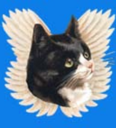 Pet-Loss.net